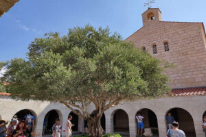 tabgha israel