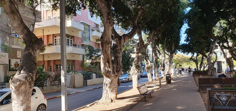 Rothschild_Boulevard_Tel_Aviv_1 Rothschild Boulevard Tel Aviv
