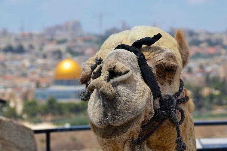 5-day israel itinerary