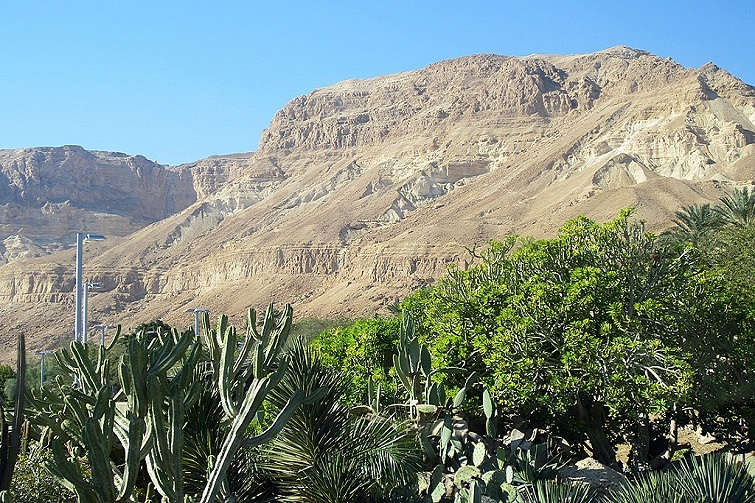 ein gedi nature reserve