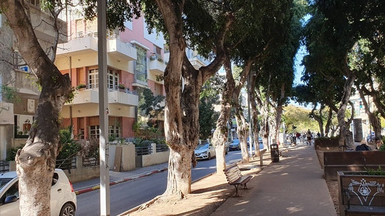 Rothschild Boulevard Tel Aviv