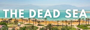 the dead sea