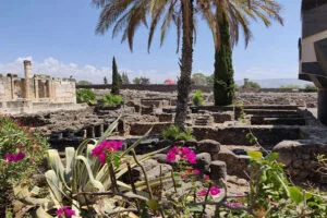 capernaum in israel