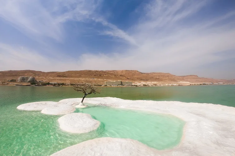 the dead sea