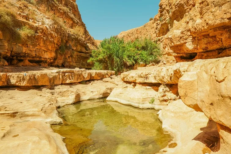 ein gedi hike