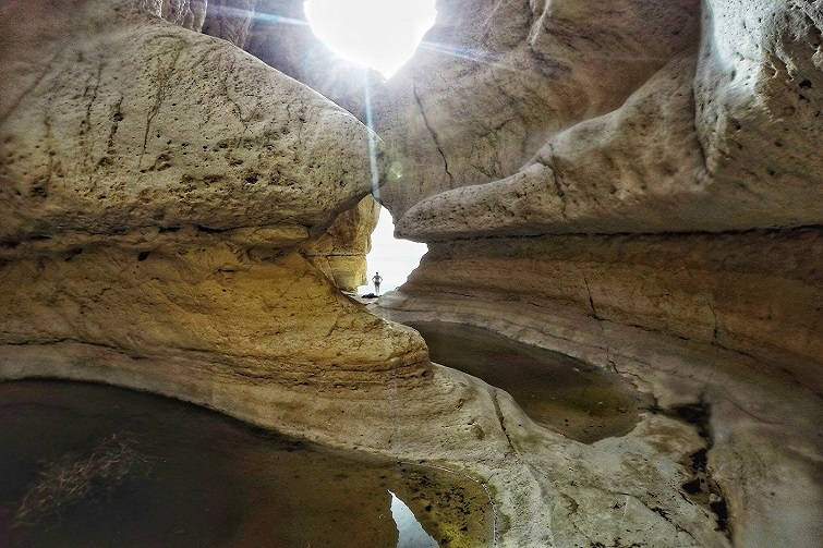 ein gedi nature reserve