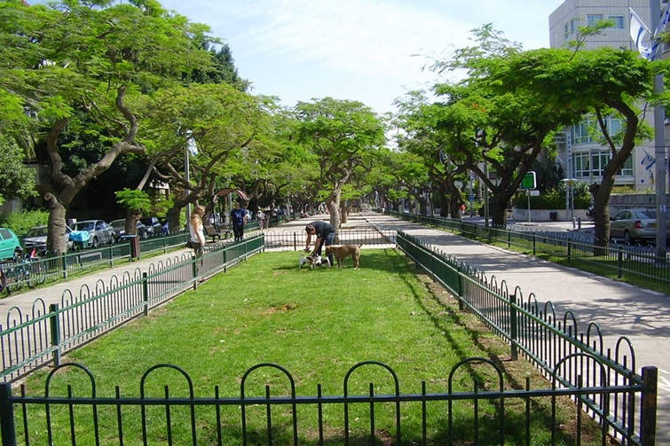 Rothschild Boulevard in Tel Aviv