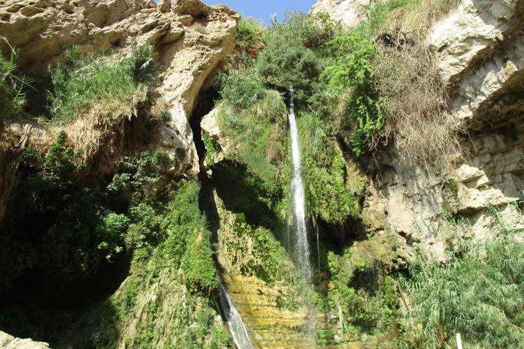 waterfall in ein gedi nature reserve